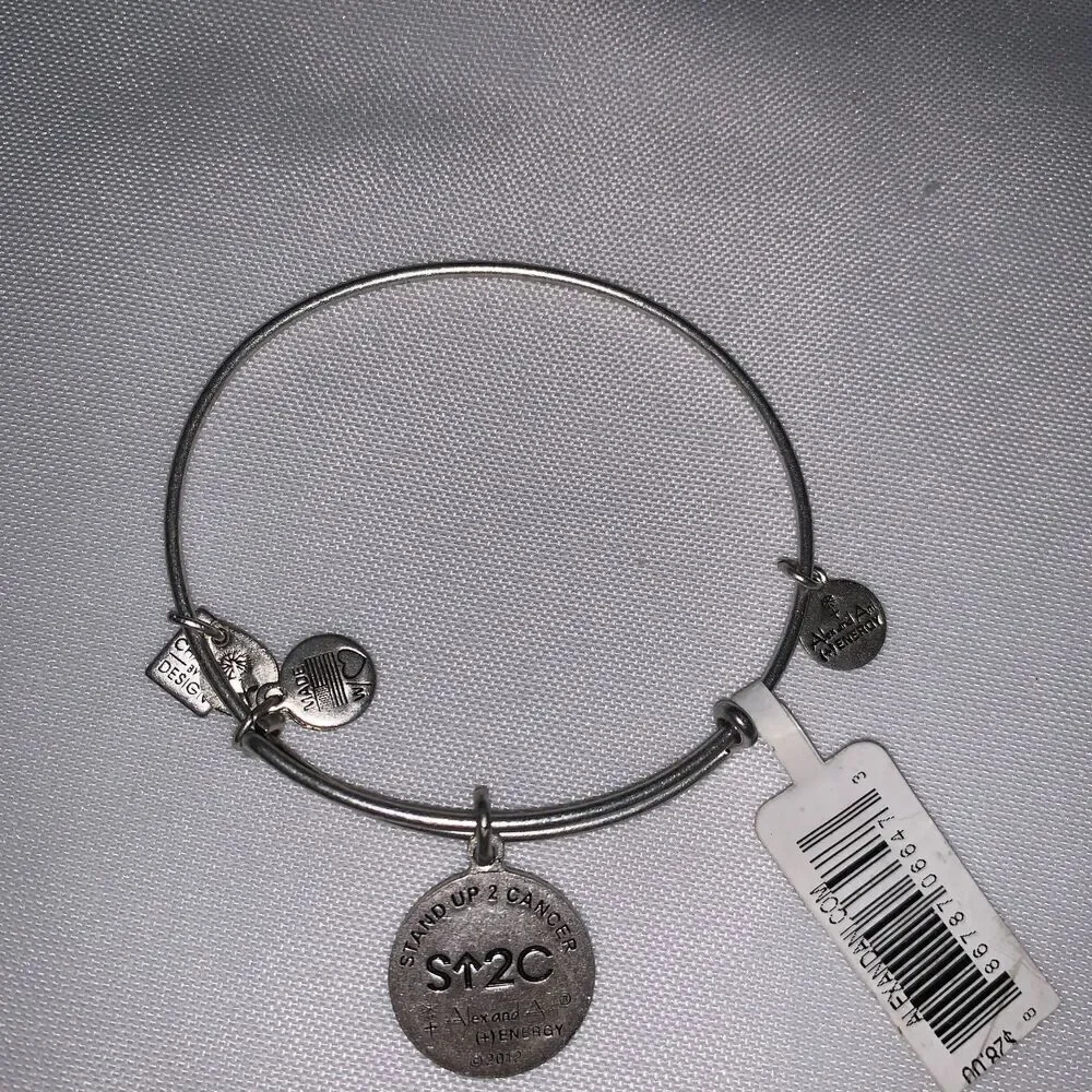 Stand Up Charm Bangle in Rafaelian Silver : Stand Up To Cancer - Picture 5 of 6